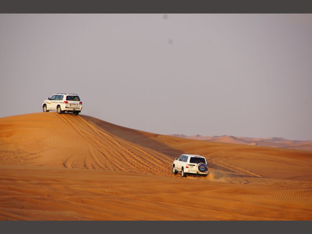 half day desert safari